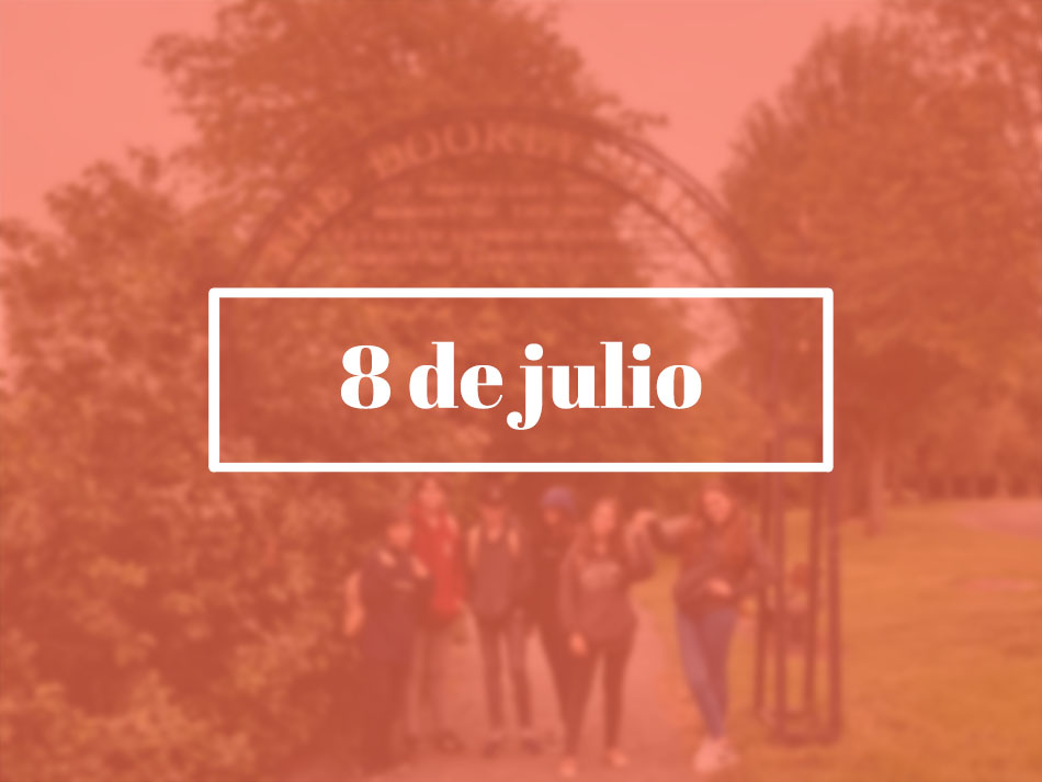 8 de julio